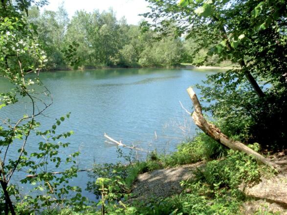 Alter Rhein zwischen Schmitterbrücke und Wiesenrain