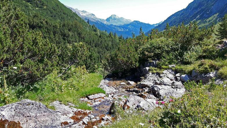 Am Anfang nur ein Rinnsal