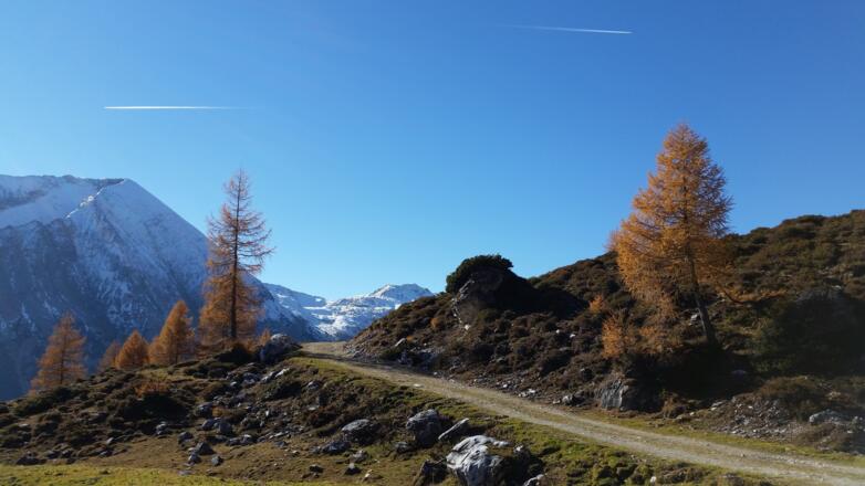 Rückweg erfolgt über Forstweg