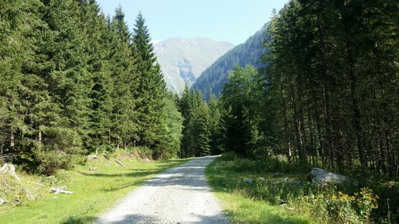 Forstweg