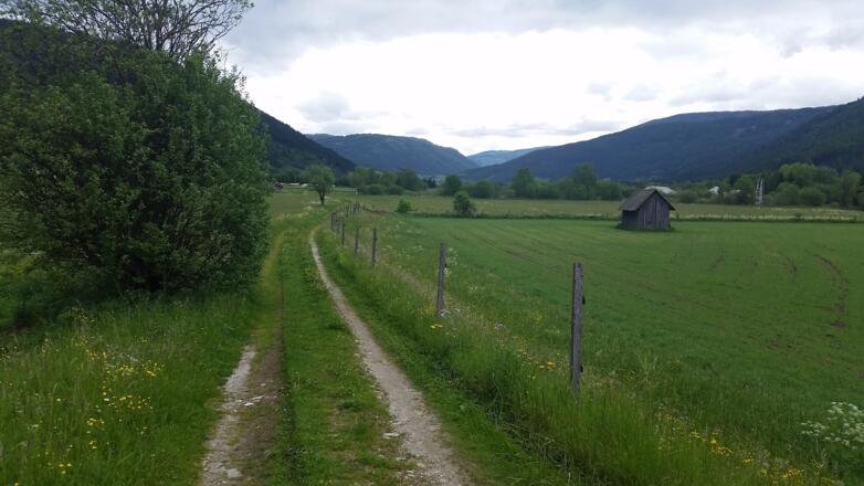 Folgen Sie bis zur Hütte dann rechts zum Fischteich