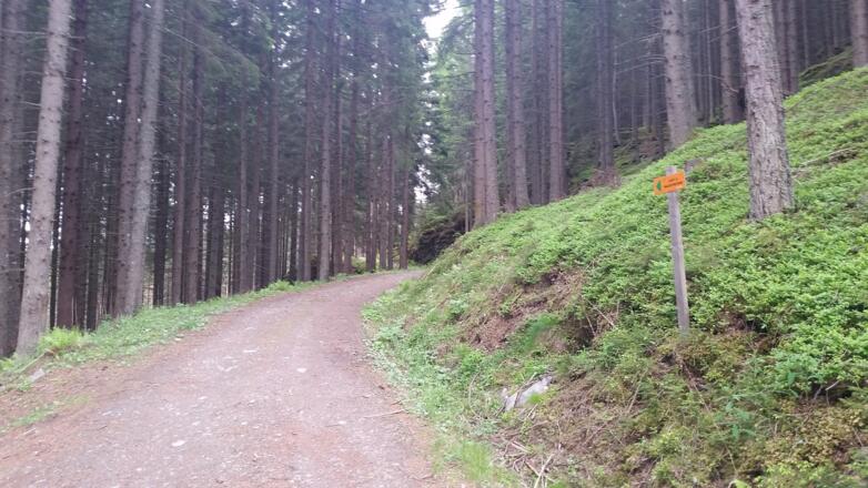 Oberhalb der Augustinkapelle geht es weiter