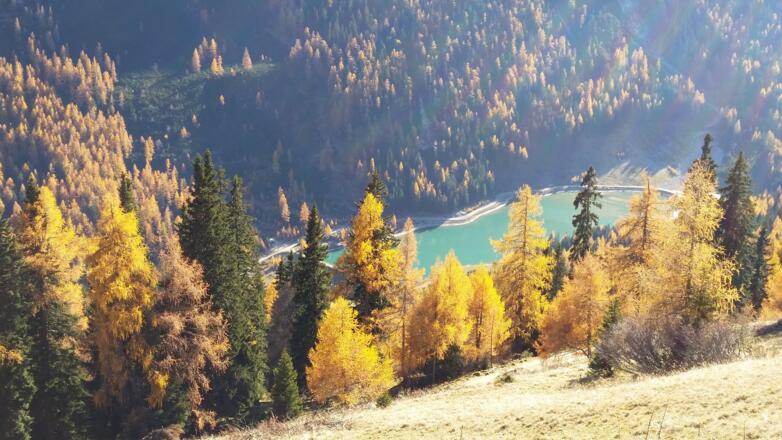 Blick auf den Schlierersee