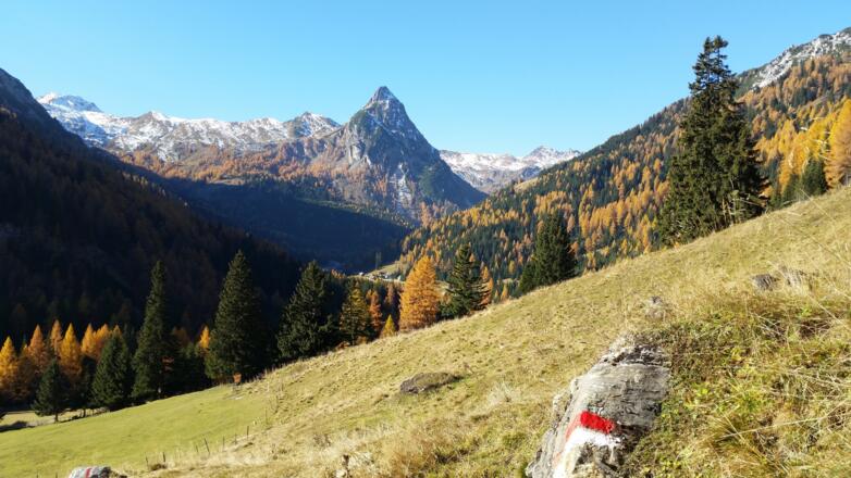 Blick auf den Riedingspitz