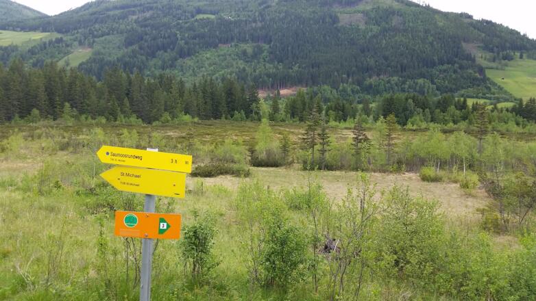 Blick aufs Naturschutzgebiet Saumoos