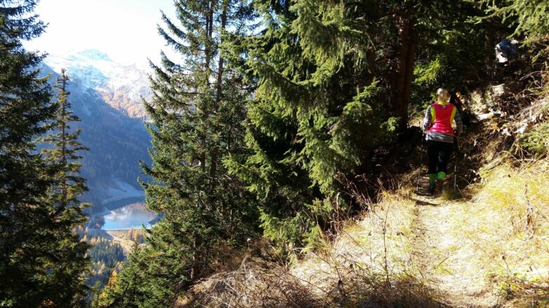 Blick auf den Schlierersee