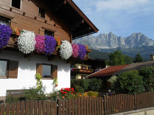 Herrlicher Blumenschmuck, Nähe Going