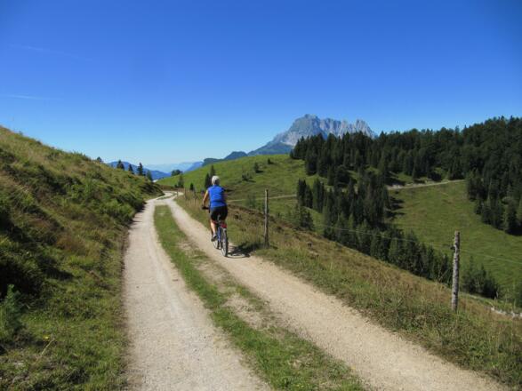 Bequeme Forststraßen
