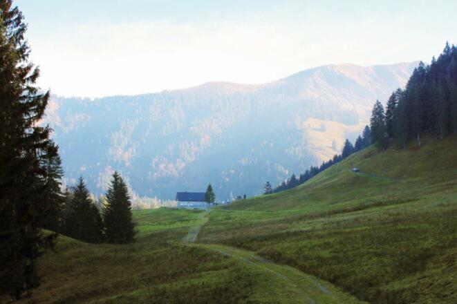 Vorderschanern - Sattelalpe