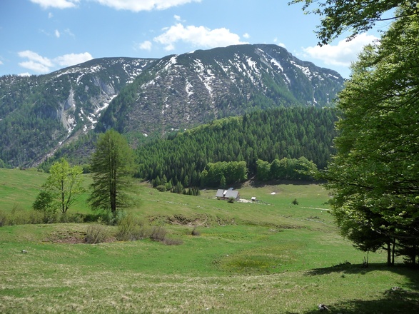 Die Schaumbergalm ist vom Gipfel des Trämpl schon zu sehen