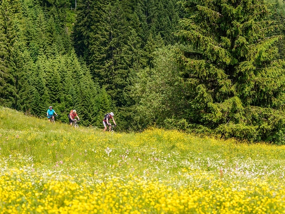 Abfahrt von der Ebenforstalm © ÖBF Nationalparkbetrieb Kalkalpen - Simlinger