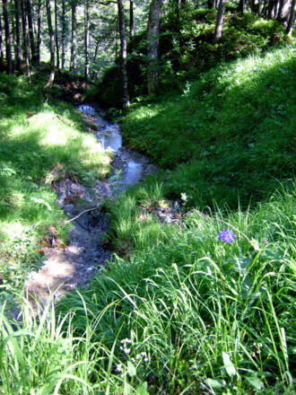 Der Großweißachzulauf.