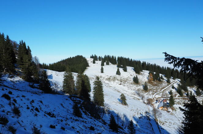 Herrentisch 1333m