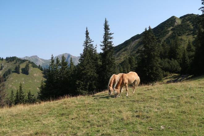 Auf halbem Weg zum Itonskopf