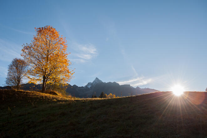 Sautens