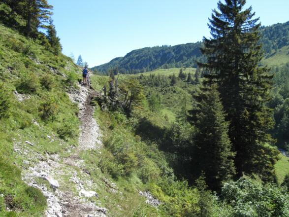 Trail oder Schiebestrecke?