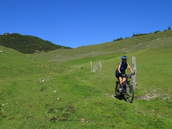 Wiesentrail nach der Gerstbergalm