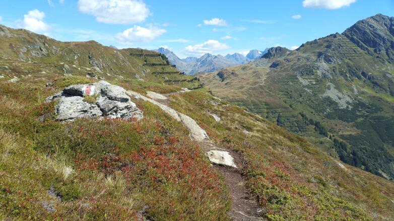 Weg zur Grasjoch Hütte