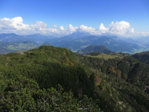 Sicht über den Niederkaiser zu den Loferer Steinbergen