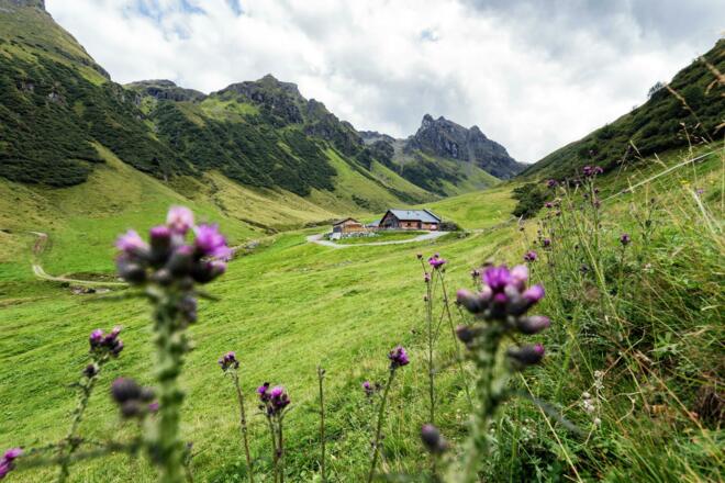 Alp Nova mit Blick in Richtung Madrisella und hinteres Ende des Novatals