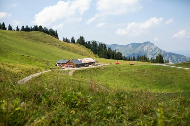 Alpe Wildgunten Mellau