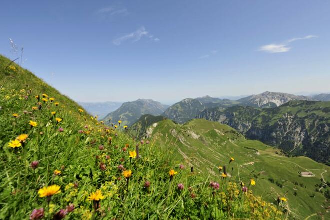 Blick vom Rappenstein