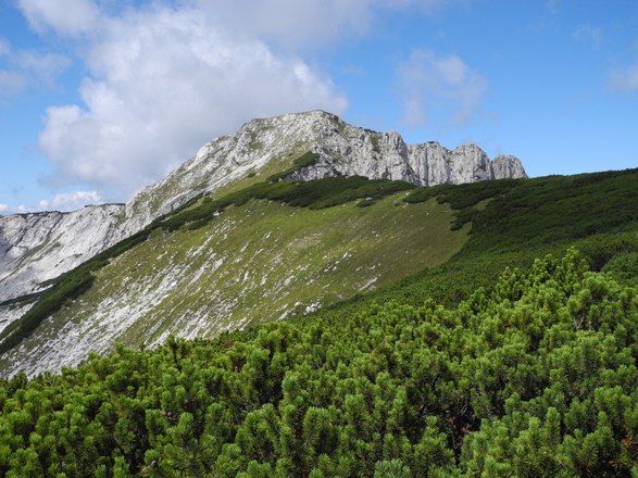Hoher Nock
