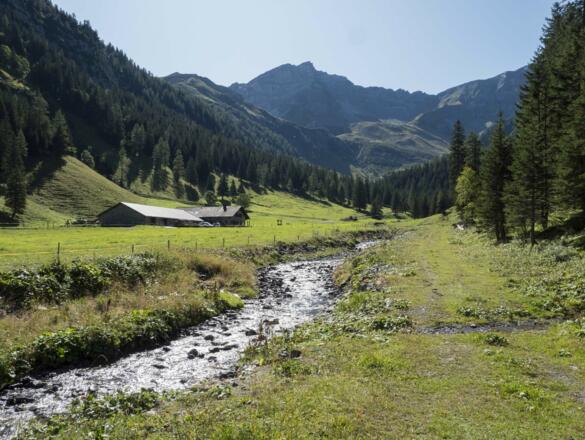 Alp Valüna in Steg