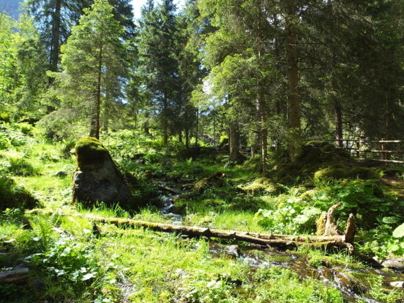 Smaragdwanderweg Habachtal