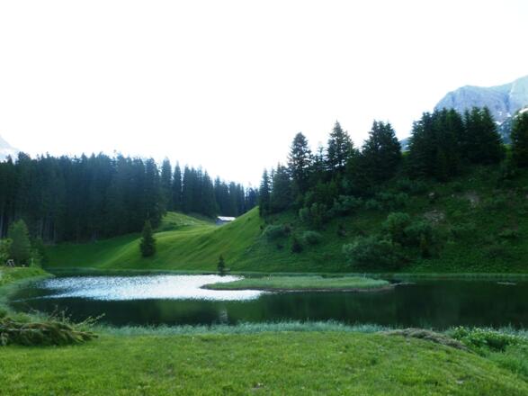 Seebachsee Warth