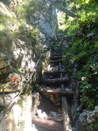 Holztreppe bei Aufstieg auf den Predigstuhl