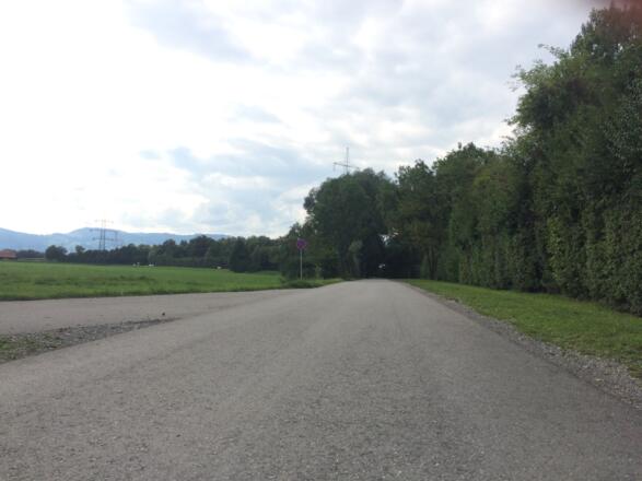 Rheinauen hier gibt es auch ein tolles Freibad