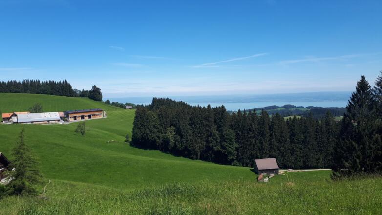 Blick von St.Anton auf den Bodensee