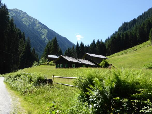 Maisäße nach dem Fellimännle