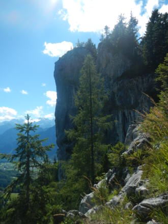 Ausblick auf den Gipfel des Predigstuhls