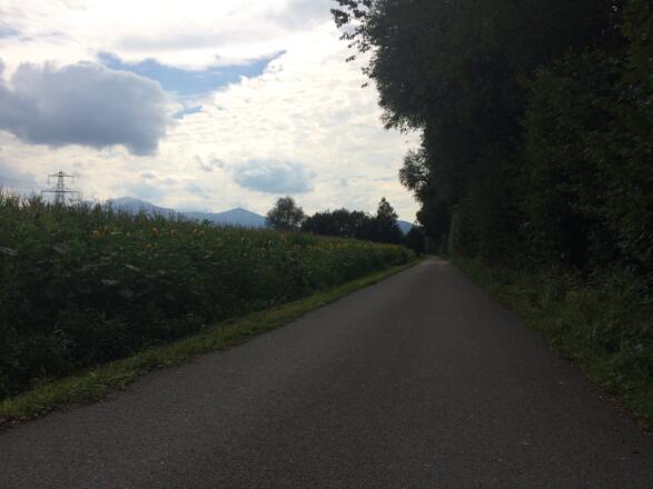 Samstag, 12. August 2017, 16:32 Uhr