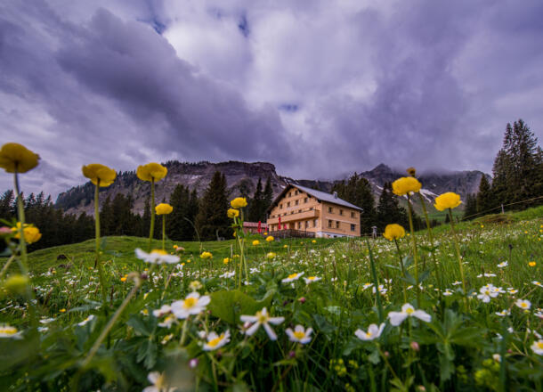 Berggasthaus Edelweiß