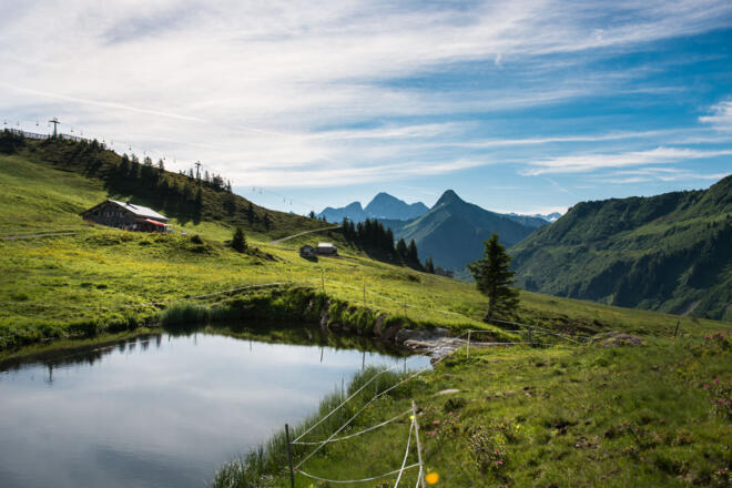 Alpe Oberdamüls