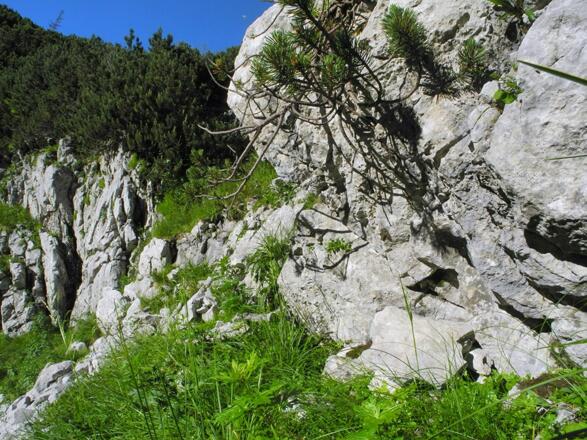 Am Weg durch Halterhüttental
