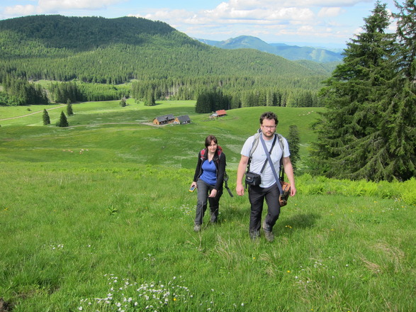 Wanderung zur Ebenforstalm