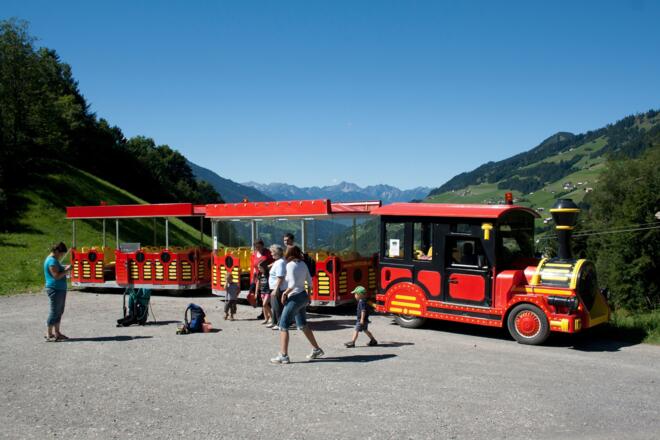 Seewaldsee Bummelzug