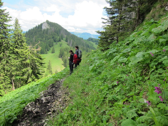 Abstieg vom Alpstein