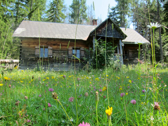 Weingartalm am Weg zum Größtenberg