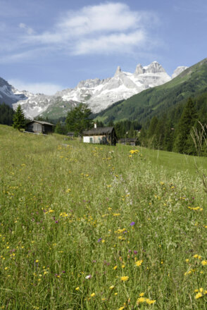 Gauertal und Drei Türme