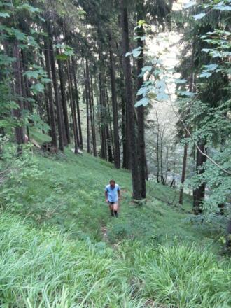 im noch nicht zu steilen Hochwald