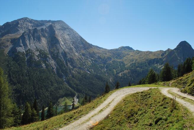 Forststrasse Richtung Schlierersee
