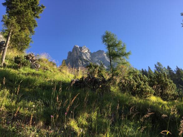 Passauer Hütte