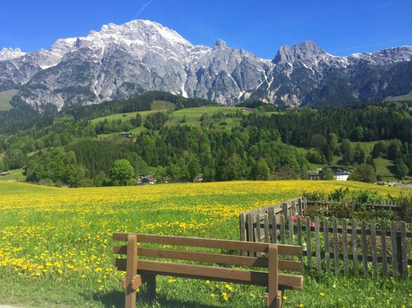 Pirzbichlweg