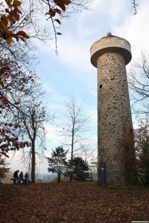 Wolfstein/Wiedeturm