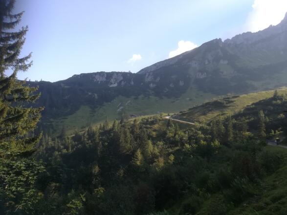 Die Sulzkaralm bereits in Blicknähe